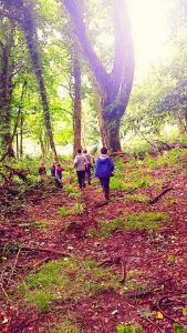 Why Outdoor Play is Important for Children 1 children runnning in forest
